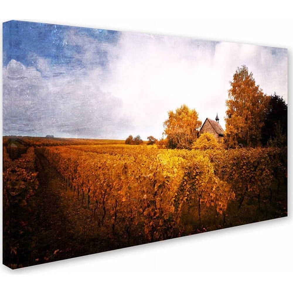 Trademark Fine Art "Light in Vineyards" Canvas Art by Philippe Sainte-Laudy