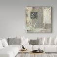 thumbnail image 3 of Trademark Fine Art 'Shades of Gray I' Canvas Art by Lisa Audit, 3 of 3