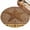 Brown, variant on Area Rugs 4'x6'. Country Star Retro Carpet Runner Indoor Outdoor Rugs Home Decor Aesthetic, Vintage Grey Leopard Print Texas Stars Non Slip Mats Washable Accent Rug for Living Room Bedroom