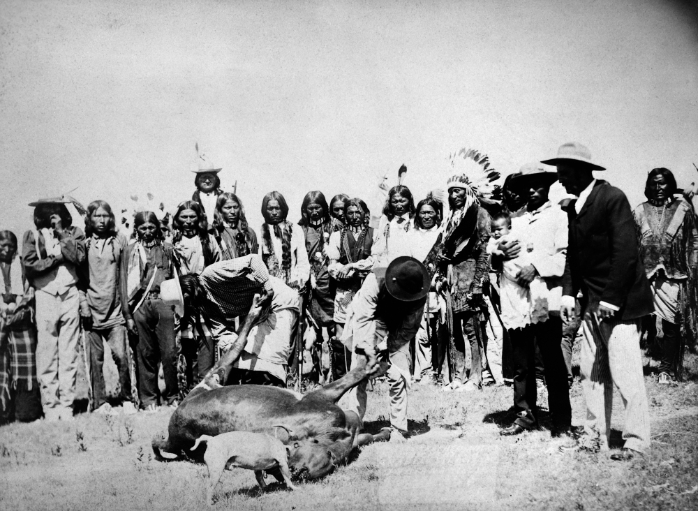 Dakota Cattle Slaughter Ntwo Dakota Native Americans Skinning A Cow In Sturgis South Dakota