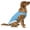 Aqua, variant on Canada Pooch Chill Seeker Adjustable and Breathable Dog Cooling Vest