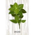 thumbnail image 3 of Oregano on wood - 24"x36" canvas - Print on demand, 3 of 5