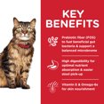thumbnail image 5 of Adult Sensitive Stomach & Skin Chicken & Rice Recipe Dry Cat Food - Dry Cat Food, 5 of 5