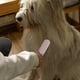 thumbnail image 5 of Pastel de mano Cepillo de pelo Cepillo de acero inoxidable Ropa de doble cara Removedor de pelusa Auto-limpieza Herramienta de aseo Sofá Mascotas Gadgets Pink sidaley PT000744-03, 5 of 7