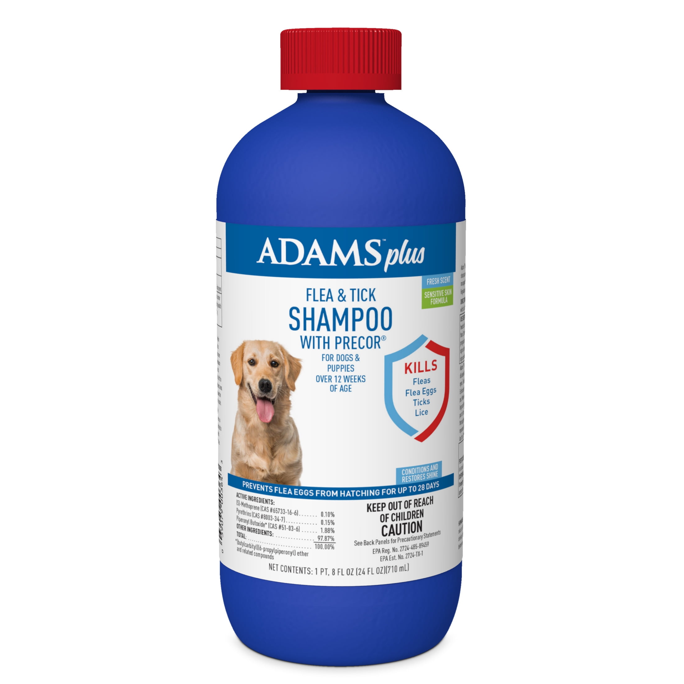 Flea shops shampoo treatment for dogs