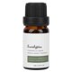 thumbnail image 2 of Aceite Esencial De Masaje Aceite De Masaje Aceite Esencial De Eucalipto Masaje Corporal Cuidado De La Piel Aceite Esencial De Aromaterapia 10ml ANGGREK Otros, 2 of 8