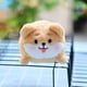 thumbnail image 5 of YangJinLian Mini Peluche de Perro a Granel Cachorro Animales de Peluche Pequeños Perros de Peluche Lindos Juguetes de Cachorro de Peluche Suave Surtidos Muñeca para Ella Regalo de Fiesta de, 5 of 6