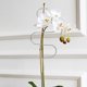 thumbnail image 4 of unbranded 2Ud Marco Para Plantas Trepadoras De Inoxidable Soporte Firme Para Plantas En Maceta, 4 of 8
