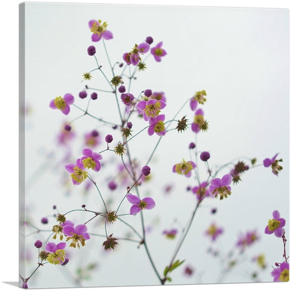 ARTCANVAS Wild Pink Flowers Home Decor Square Canvas Art Print - Size: 12" x 12" (0.75" Deep)