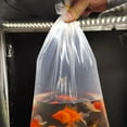 thumbnail image 5 of OATIPHO  Thicken Clear Bags for Live Fish Transport and Storage 50Pcs, 5 of 5
