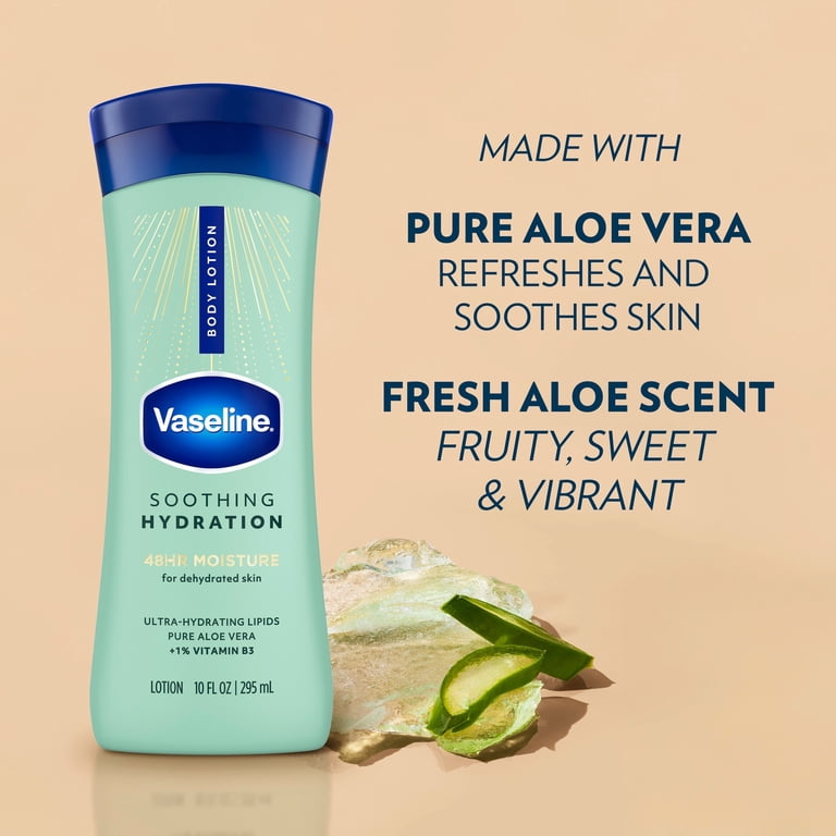 aloe vera pflanze weiße punkte Aloe Vera „Alfonso“ – Aloe-Vera-Pflanze in Gärtnerqualität kaufen main image 0