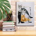thumbnail image 6 of Epic Graffiti 'American Shorthair' by Barbara Keith, Canvas Wall Art, 12"x16", 6 of 8