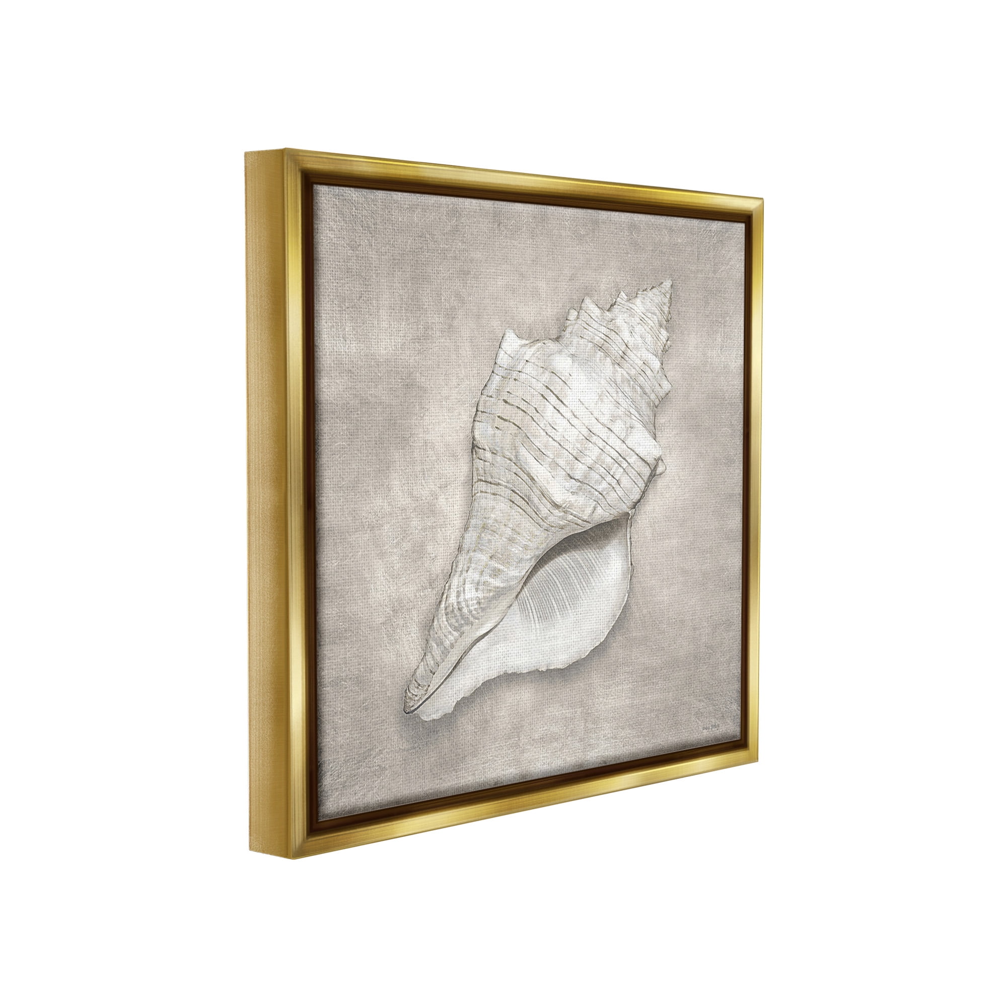 Stupell Industries Rustic Grey Conch Shell Nature Painting Gold Floater Framed Canvas Art Print Wall Art, 25 x 25
