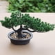 thumbnail image 4 of Árbol de bonsái Artificial, planta falsa, decoración en maceta, plantas artificiales para el hogar, planta de bonsái de pino para exhibición de decoración del hogar Vhermosa YQ-0253, 4 of 7
