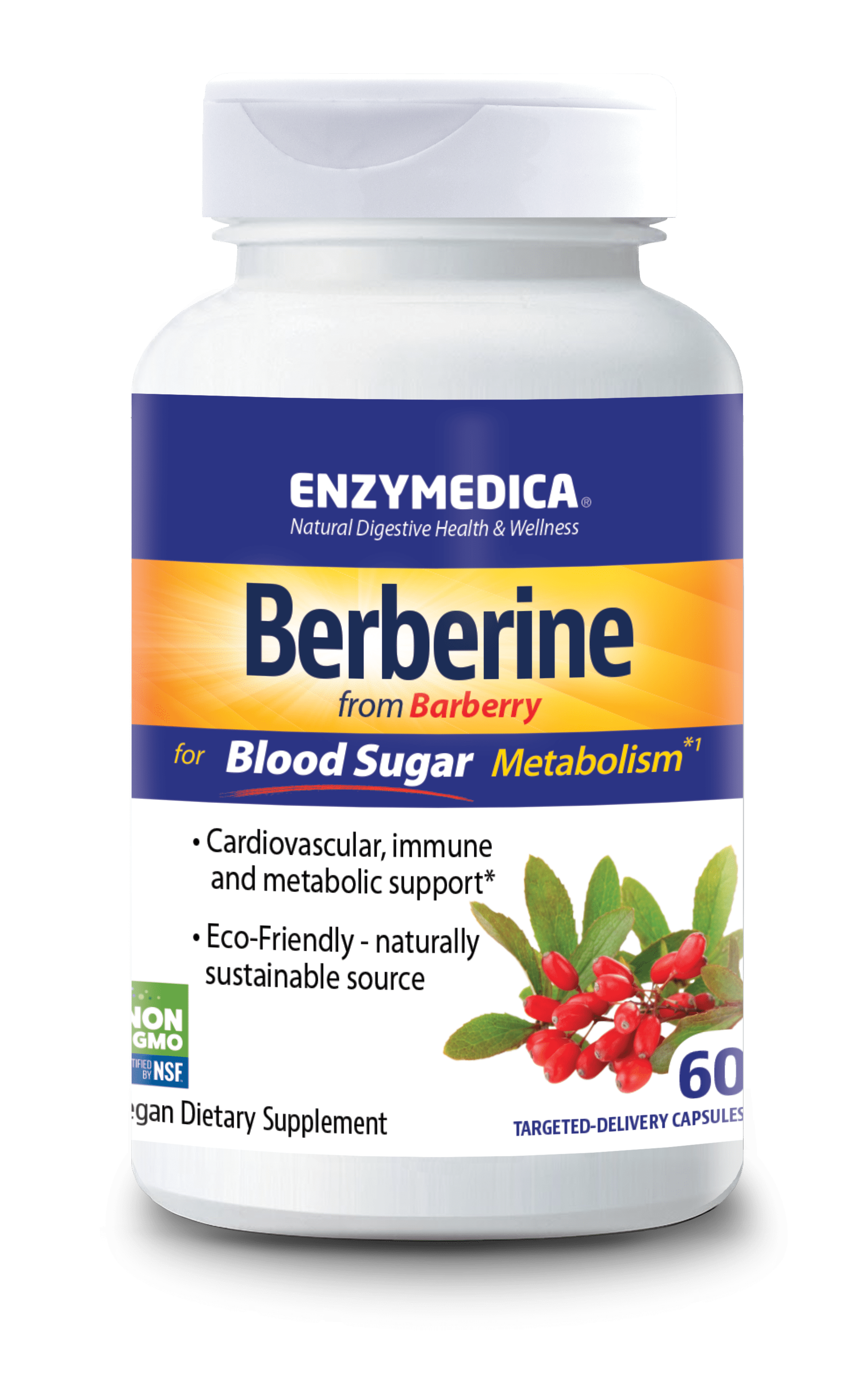 Enzymedica, Berberine, Supports Cardiovascular and Immune Health, Helps Maintain Healthy Blood Sugar Metabolism, 60 Capsules