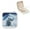White, variant on Polar Bear Snow Mountain Jewelry Box for Necklaces Rings Earrings White
