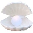 thumbnail image 1 of Ceramics Shell Pearl Light Led Lamp Portable Night Light Tabletop Light(White), 1 of 9