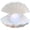 White, variant on ABCISI Ceramics Shell Pearl Light, Led Lamp Streamer Mermaid Fairy Shell Night Lamp, Home Bedside Bedroom Living Room Desktop Decor, Gift for Christmas Souvenir, Birthday (White)