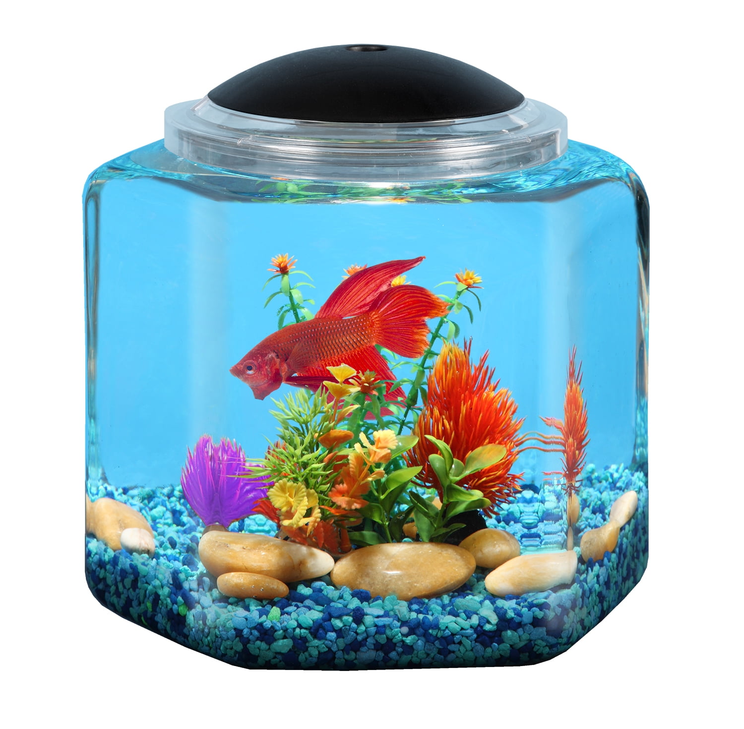Hawkeye 2 Gallon Betta Hex Fish Tank With Led Lighting Walmart Com Walmart Com