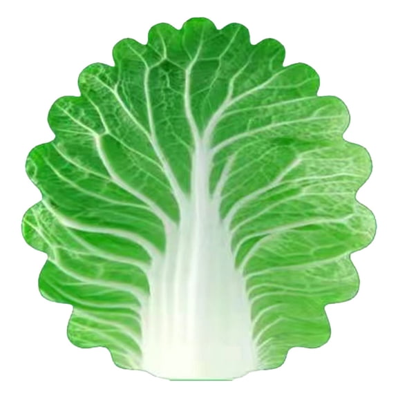 Bizhua Fun Cabbage Blanket, 85*85Cmfunny Nap Blanket Cabbage Blanket Cute Baby Quilt Air Conditioning Blanketes office Single Burritoes Blanket