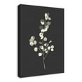 thumbnail image 2 of Creative Products Cream Eucalyptus On Charcoal 20 x 30 Canvas Wall Art, 2 of 5