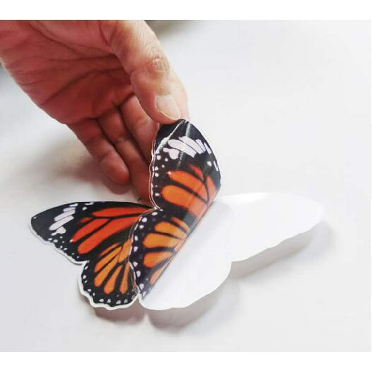 Butterfly (Rev) Oval Static Cling Window Decal 4 x 6 - Clear w