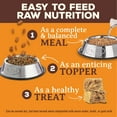 Primal Freeze Dried Raw Dog Food Nuggets, Beef, Complete & Balanced Meal, Also Use as Topper or