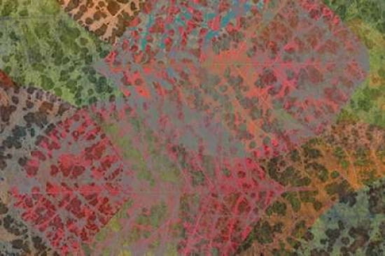 Leaf Pattern 1-2 Ca