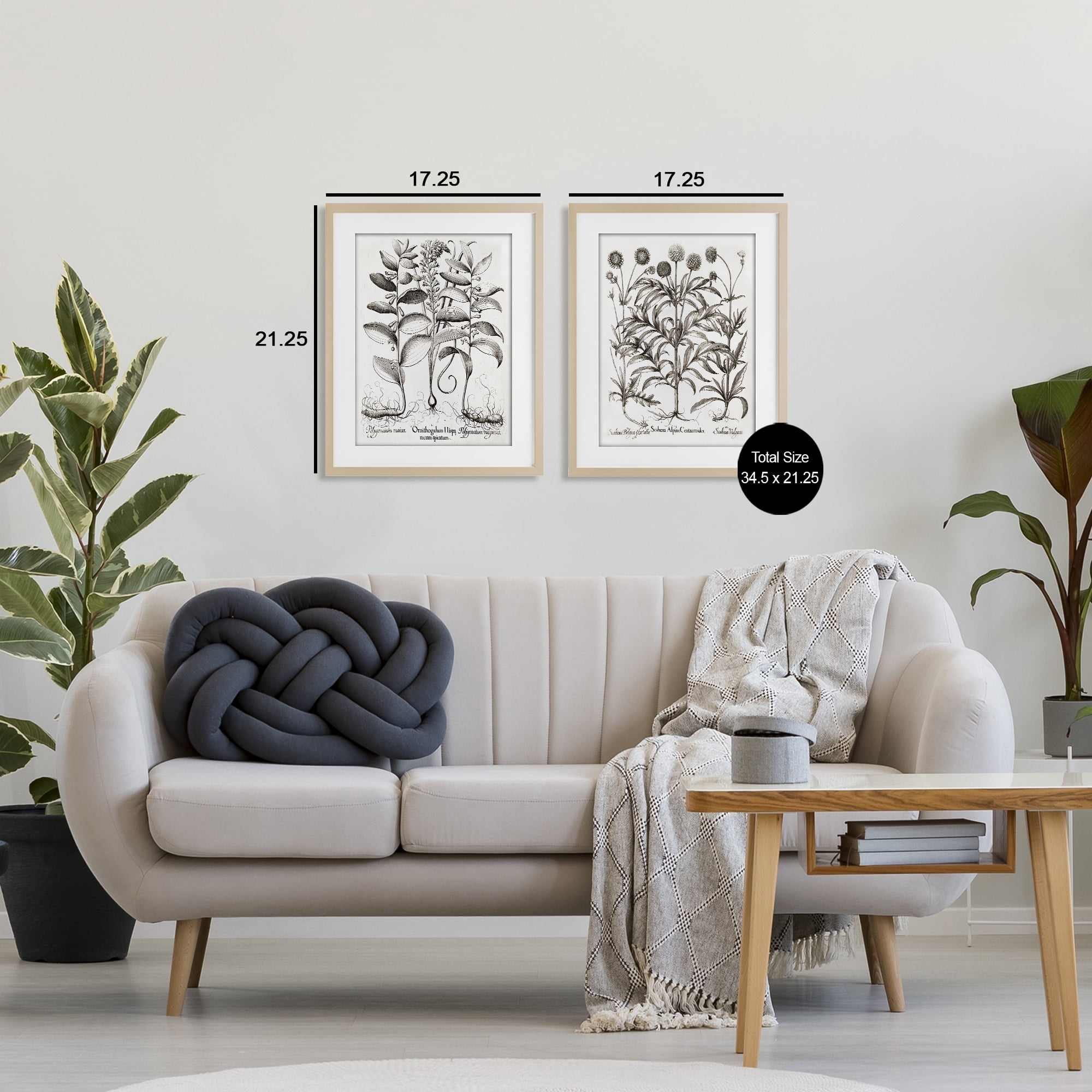 Botanical Root & Plant Studies 2 Piece Birch Framed Print Under Glass Set, design by Lettered and Lined