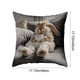 thumbnail image 3 of Fasiaou 2 Counts Artistic Abstract Style Pillow Cover Floral Print Sofa Bedroom Decor Cushion Case Soft Nylon Spandex Washable Home Living Room Accent, 3 of 6