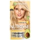 thumbnail image 1 of Tinte para cabello Garnier Nutrisse coloríssimos ua rubio dorado maracuyá, 1 of 13
