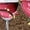 Coffee â‘¢, variant on qucoqpe Women's Christmas Print Pullover, Long Sleeve Shirts for Women Casual Festive Holiday Tops