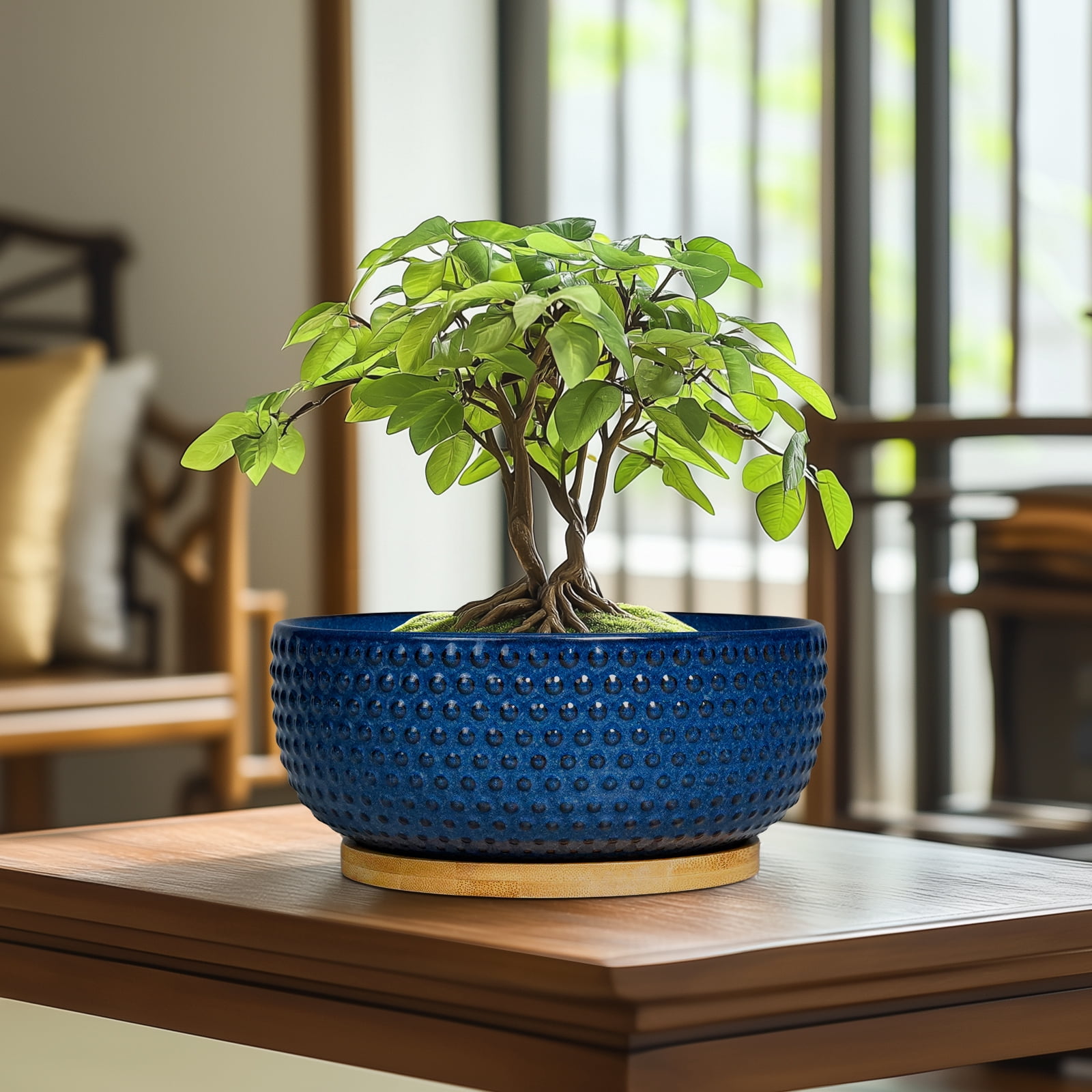 8 inch Succulent Planter Bowl, Round Ceramic Pot with Drainage Hole & Bamboo Tray,Shallow Flower Pots for Indoor Plants Cactus Blue