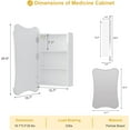 thumbnail image 2 of Bathroom Medicine Cabinet with Mirror,Mirrored Medicine Cabinets,Surface Mount Medicine Cabinet Wall Mounted,Bathroom Vanity Mirror with Storage 20x30, 2 of 7