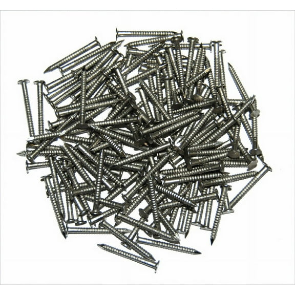 Taylor Made Products 95999 95999 Stainless Steel Dock Nails Boating Hardware & Maintenance Supplies