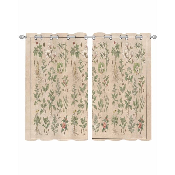 Vintage Botanical Sheer Curtains 54 Inch Length 2 Panels Set for Living Room/Bedroom, Country Herbs Leaves Plants Flowers Brown Kitchen Curtains Grommet Curtains Window Treatments 42"x54"x2