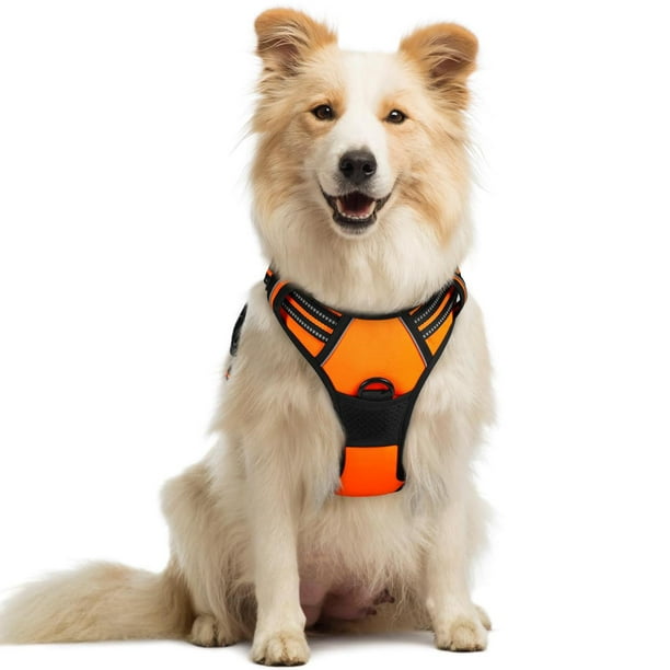 Arnés para Perro Rabbitgoo Naranja con Líneas Reflectantes y Chaleco Acolchado Ajustable para Adiest