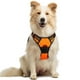 thumbnail image 1 of Arnés para Perro Rabbitgoo Naranja con Líneas Reflectantes y Chaleco Acolchado Ajustable para Adiest, 1 of 9