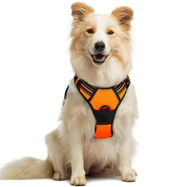 Arnés para Perro Rabbitgoo Naranja con Líneas Reflectantes y Chaleco Acolchado Ajustable para Adiest