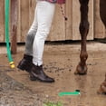 thumbnail image 4 of GOOHOCHY Herramienta Multifuncional Para Limpieza De De Caballos Y Cabras Con Cepillo Y Gancho, 4 of 8