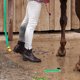 thumbnail image 4 of Nestingho Cepillo Y Pick Para De Caballo Para Mantenimiento De Y Cuidado En Granjas, 4 of 7