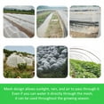 thumbnail image 4 of Fyeme Plant Netting Cover High-Density Polyethylene Garden Bird Barrier Breathable Garden Netting Mesh Tailorable Plant Protective Mesh for Vegetable Farm Potted Plant Courtyard, 4 of 11