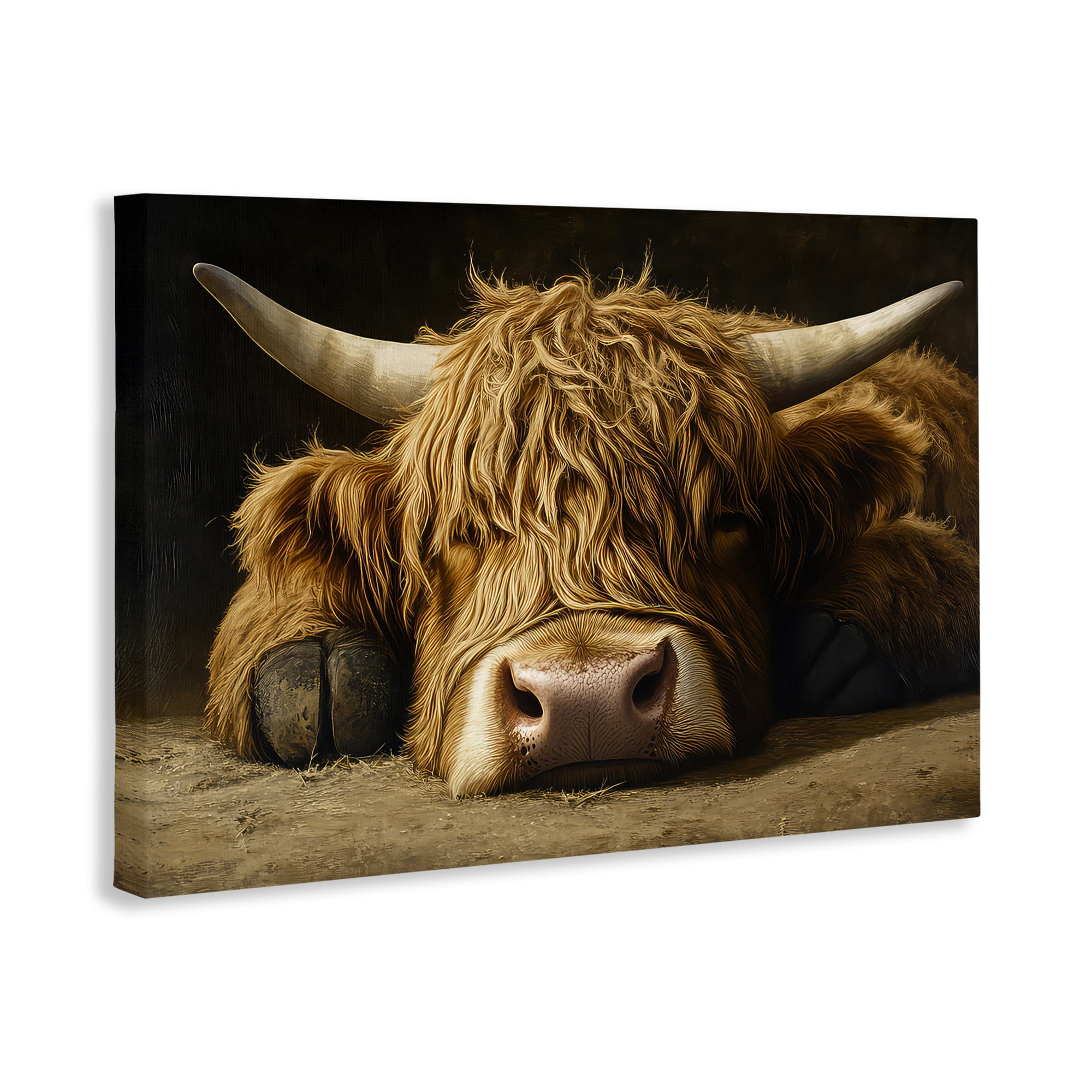 Stupell Industries Sleeping Highland Cow & Hoof Canvas Wall Art, design by The Wands Want
