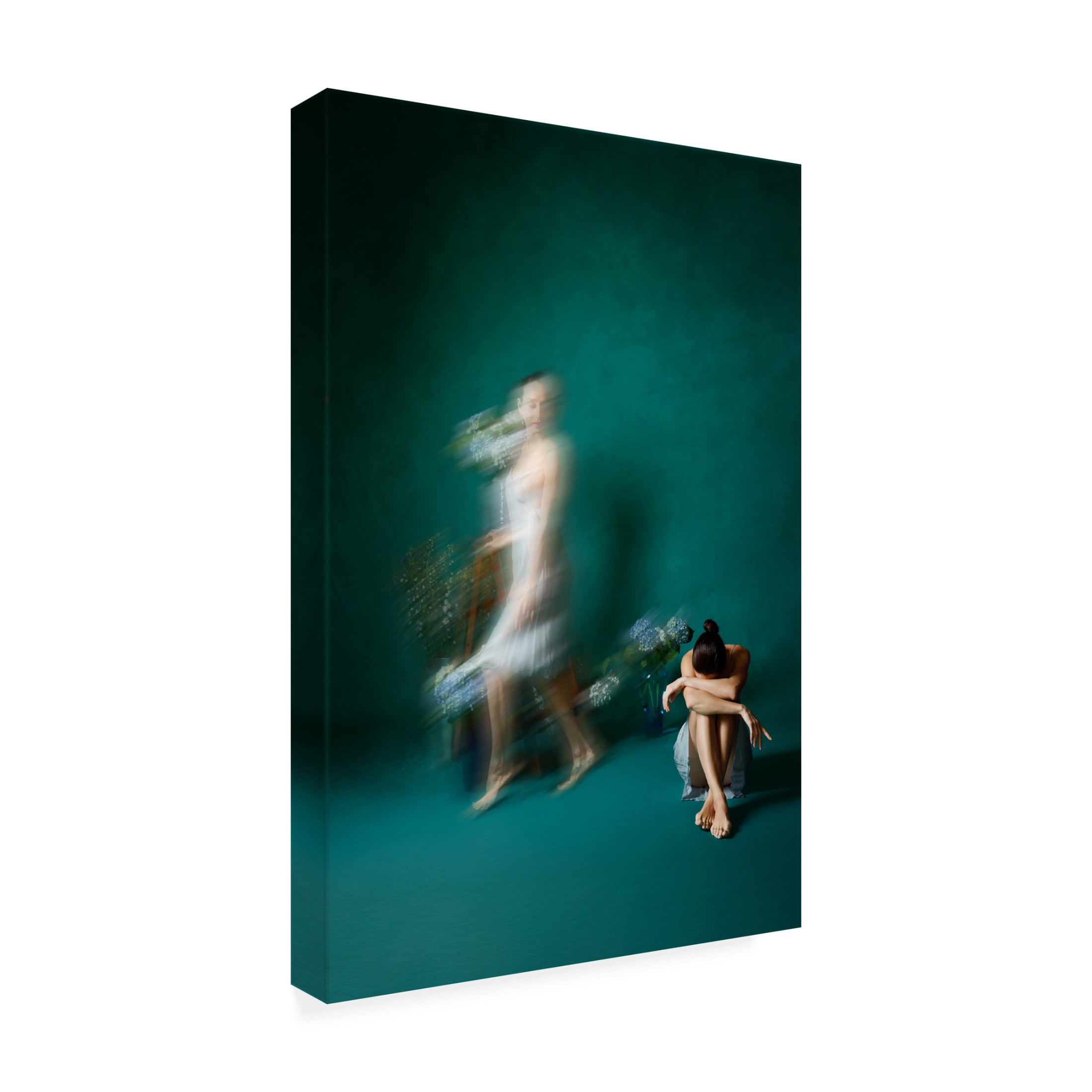 Trademark Fine Art Amalya Shandelman Coming, Going, And Just Sitting Pretty Canvas Wall Art