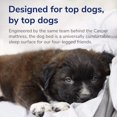 thumbnail image 5 of Casper Sleep Dog Bed, Plush Memory Foam, Medium, Sand, 5 of 5