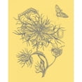 thumbnail image 3 of Vision Studio 15x18 Black Modern Framed Museum Art Print Titled - Natures Optimism II, 3 of 5