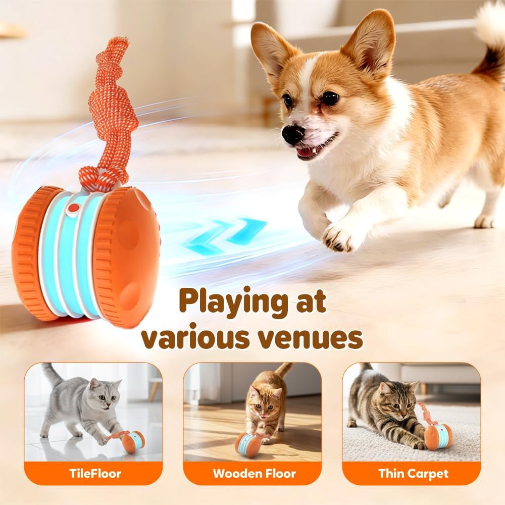 Interactive Dog Toy – Automatic Electric Rolling Ball with Rope, Motion-Activated Play, Random Movement, Rechargeable, Ideal for Boredom Relief for All Dog Sizes