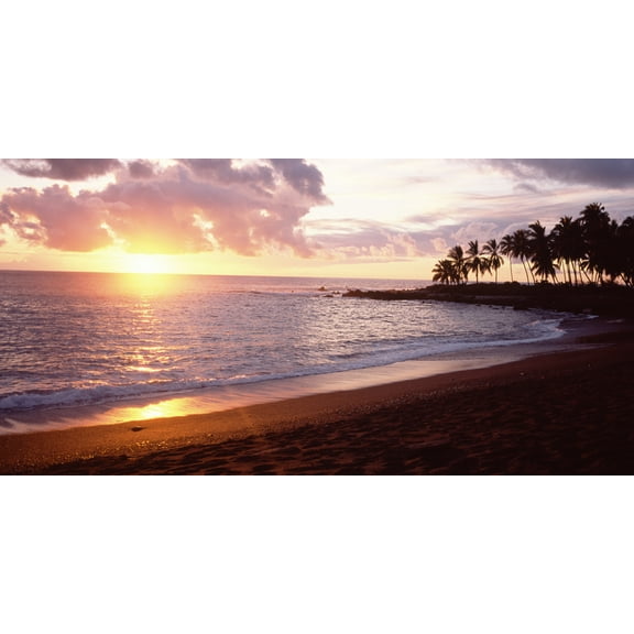 Biggies-Wall Murals-Sunset-80