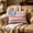 2#, variant on Vintage American Flag Pillow,USA Flag Throw Pillow Cushion Cover Standard Pillowcase for Men Women Home Decorative Sofa Armchair Bedroom Livingroom 14.96 x 9.06 inch