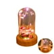 thumbnail image 4 of Deseando Streamer Altavoz Bluetooth Musical Led Luz Nocturna Usb Recargable Botella De Vidrio Romántica Lámpara De Noche Regalo Para Niñas Niños Dormitorio Decoración Botella Luz Cateissary HA013154-00, 4 of 7
